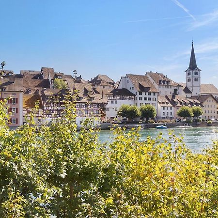 Апартаменты Am Hochrhein Desko Гайлинген Экстерьер фото
